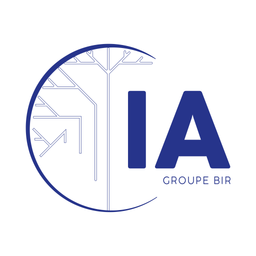 IA Groupe BIR